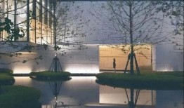 杭州水光针爆料最新消息,揭秘最新爆料与行业动态